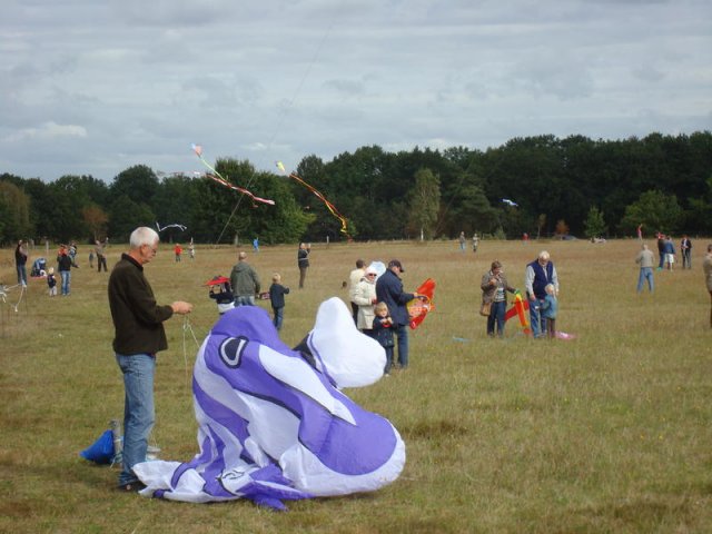 Drachenfest 2009